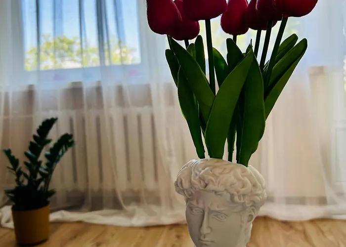 アパート Riverside - Pet Friendly パルヌ